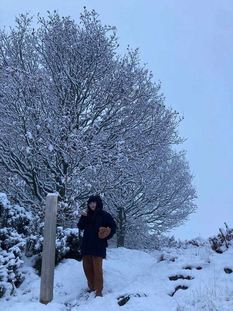 First Snow of Winter