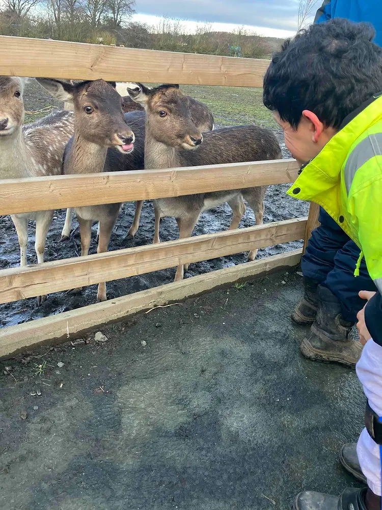 Trip to Scottish Deer Centre
