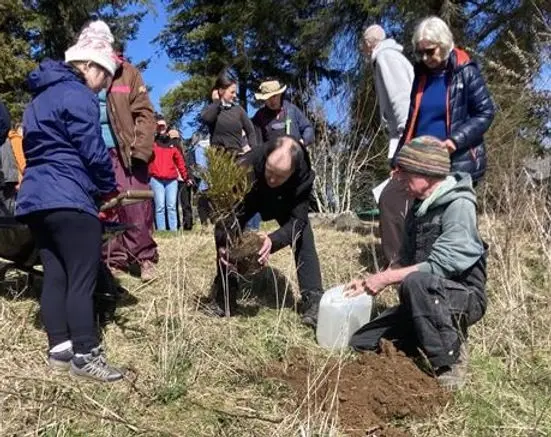 A Tree For Bruce Fairholm