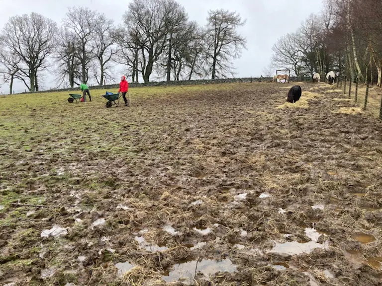 Out In All Weathers