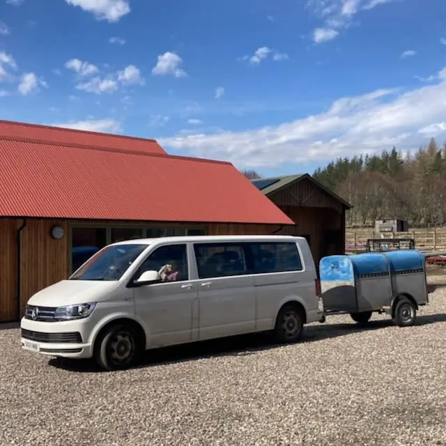 Boar Too Big For Trailer