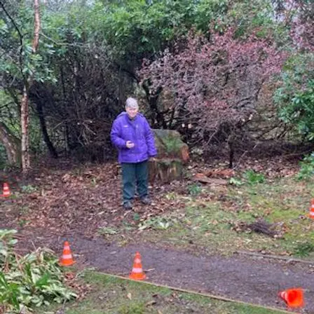 Memories Behind The Rhododendron