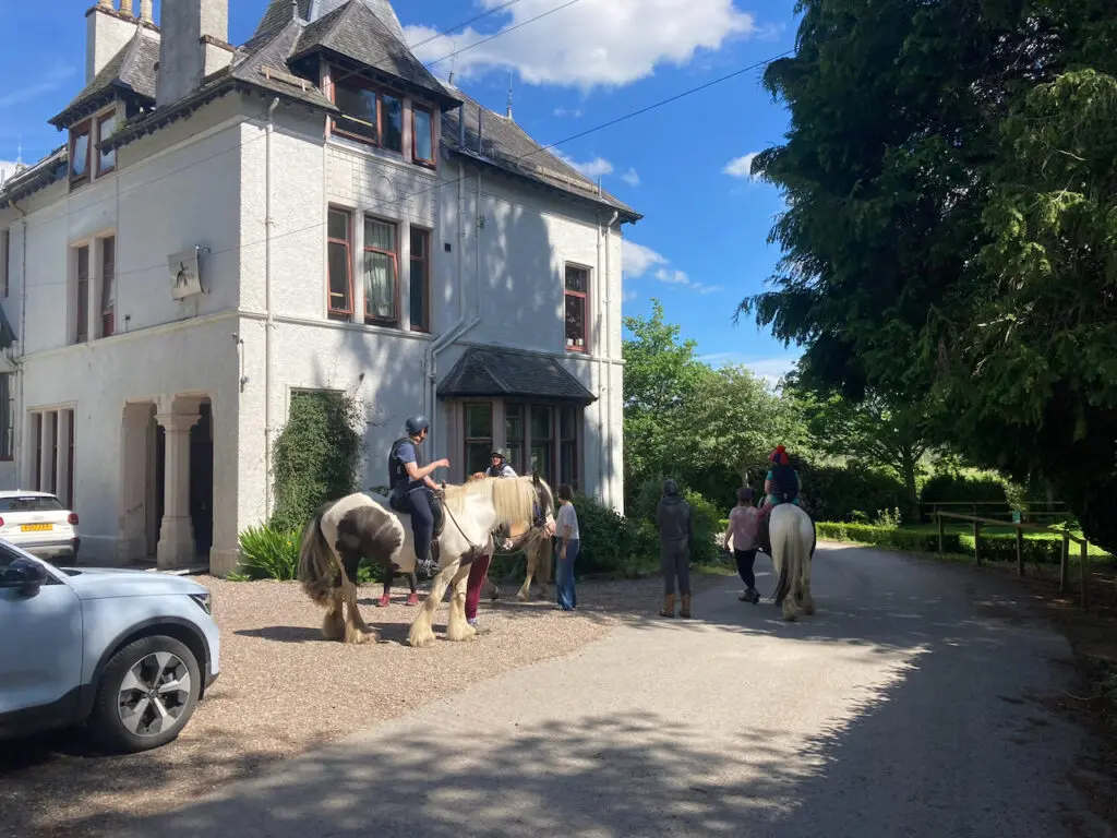 Horse Workshop seeks the shade