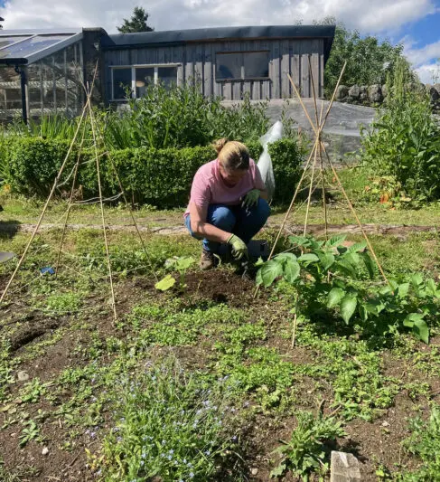 Dry weather is ideal for weeding