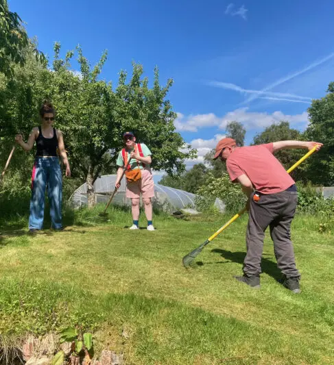 Grass to rake!