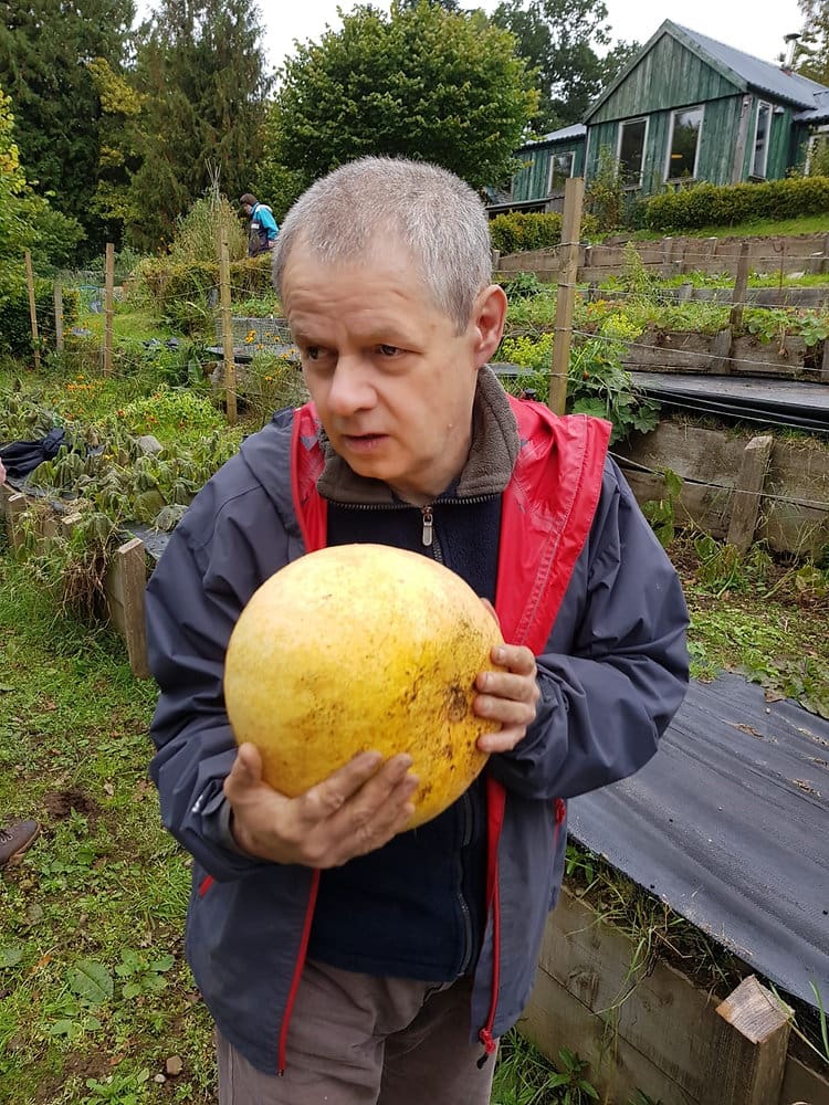 Michaelmas and Autumn Harvest