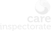 Care inspectorate