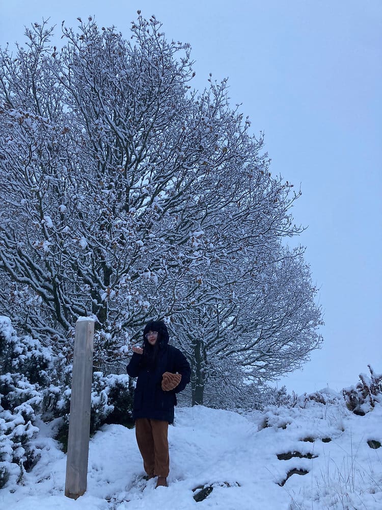 First Snow of Winter