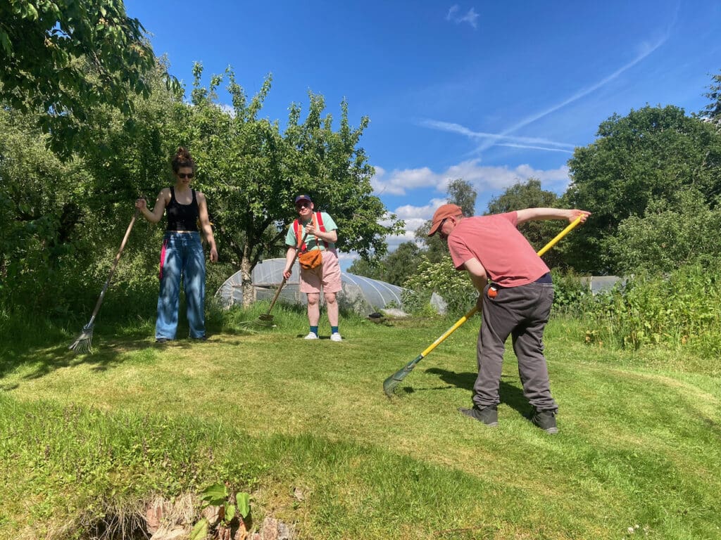 Grass to rake!